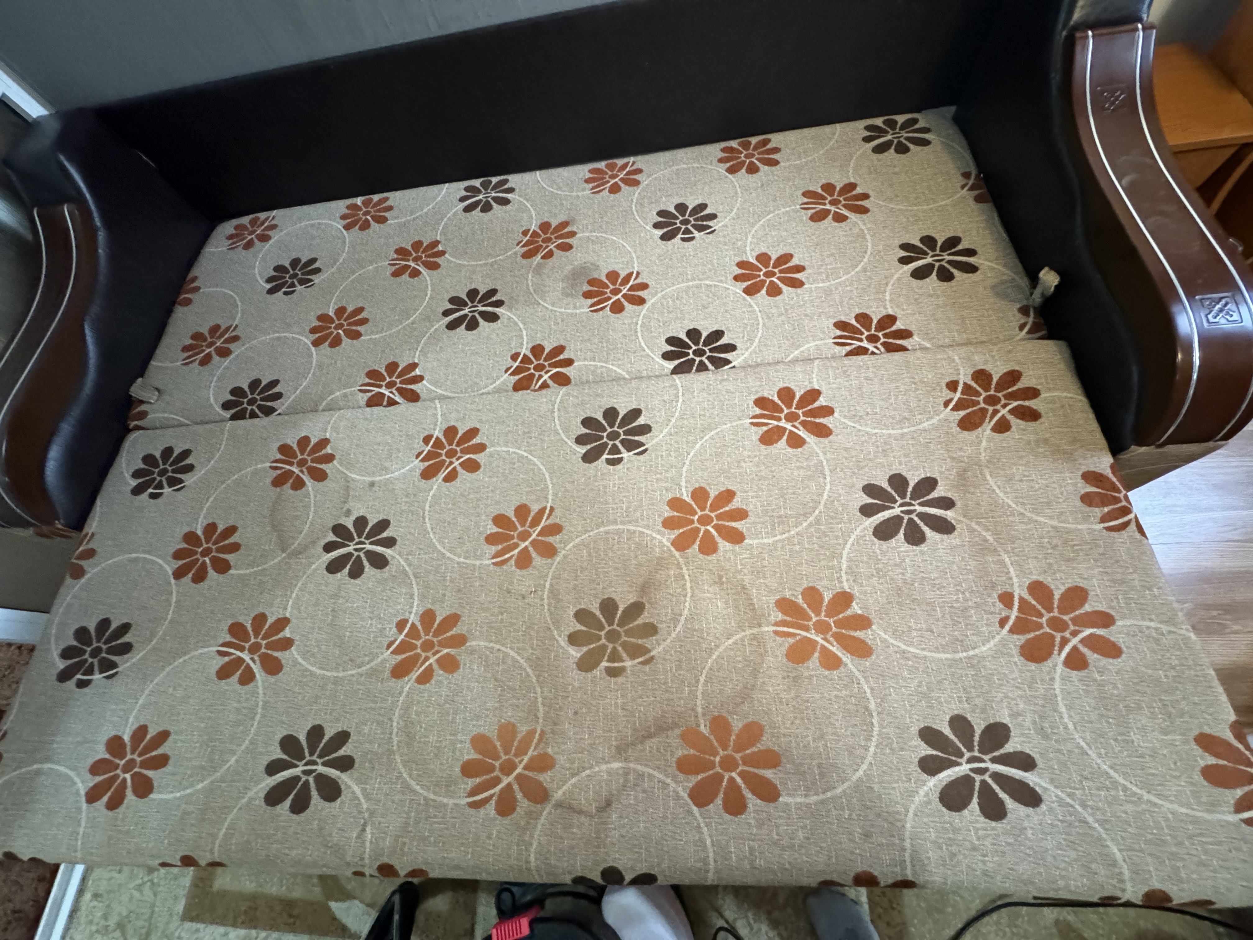 Înainte curățare canapea